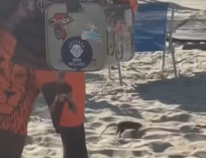 VÍDEO || Até o rato resolveu curtir o sol, roedor ‘passeia’ entre banhistas nas areias do Leblon