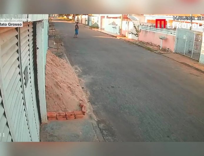 Homem mata gato a pauladas: “Defecava perto da cozinha”