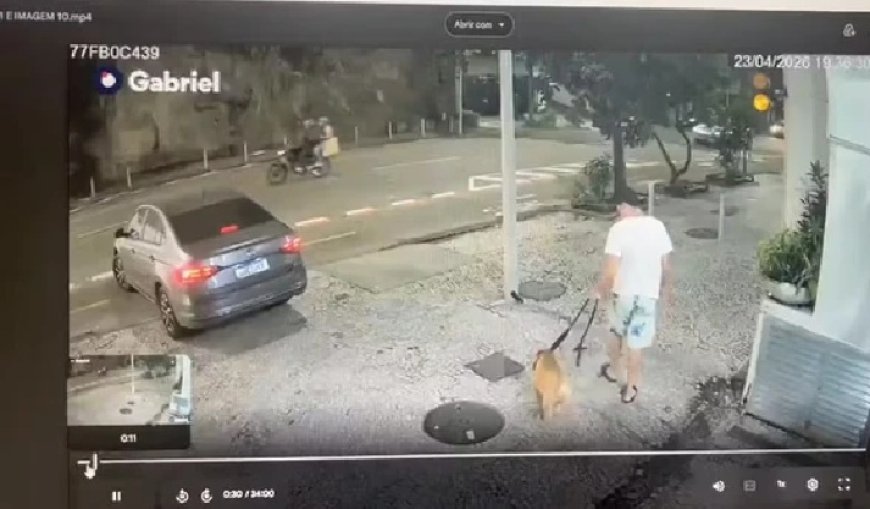 Homem é denunciado por matar o próprio cão afogado no mar
