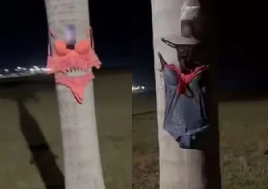 Fotos íntimas e peças de lingerie são encontradas espalhadas em rua; polícia investiga quem está por trás do caso