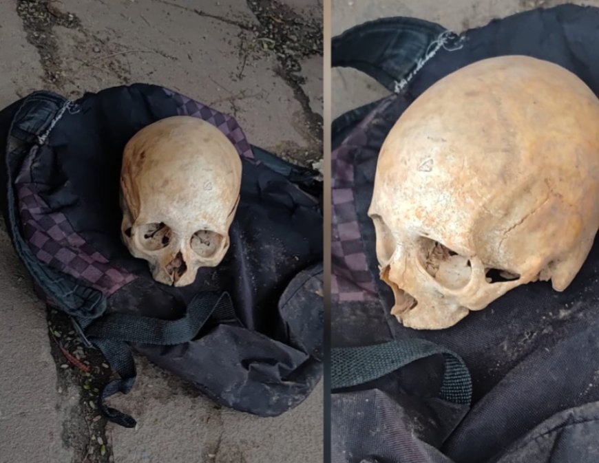 Crânio humano é encontrado em parada de ônibus